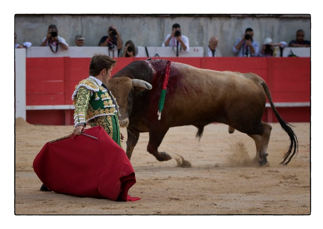 Juan Leal ayer en Nimes.
Toro de Domingo Hernández.
Puerta de los Cónsules.