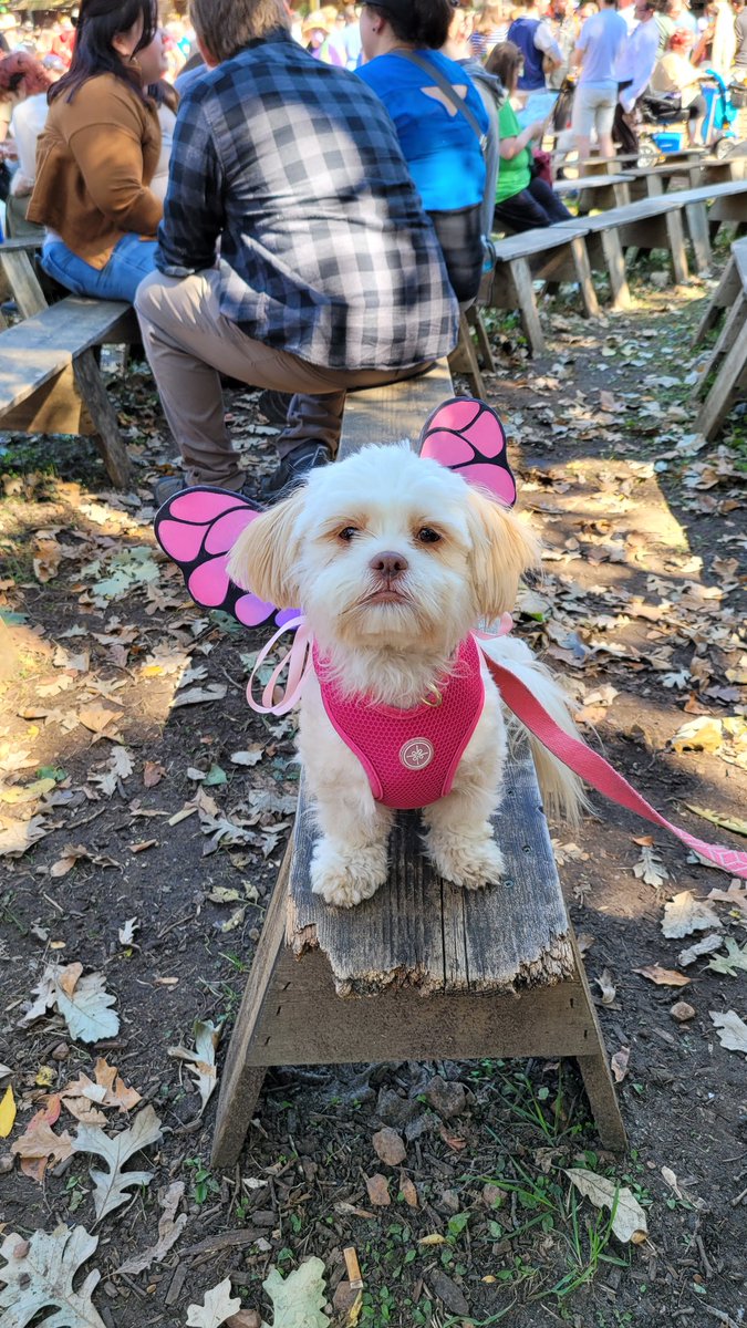 Minnesota Renaissance Faire