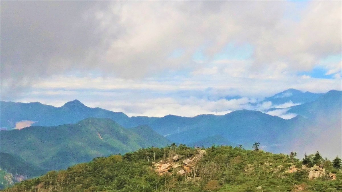 momodeyakuyoke photo