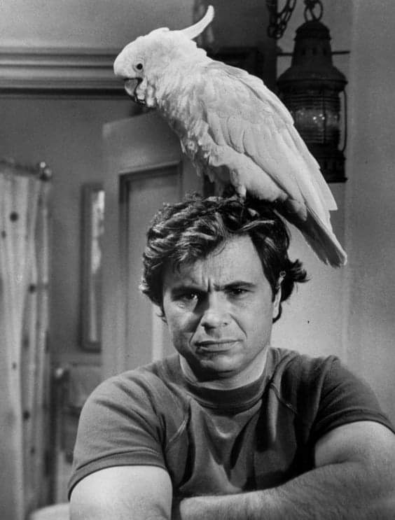 Happy Birthday to legendary actor Robert Blake! 