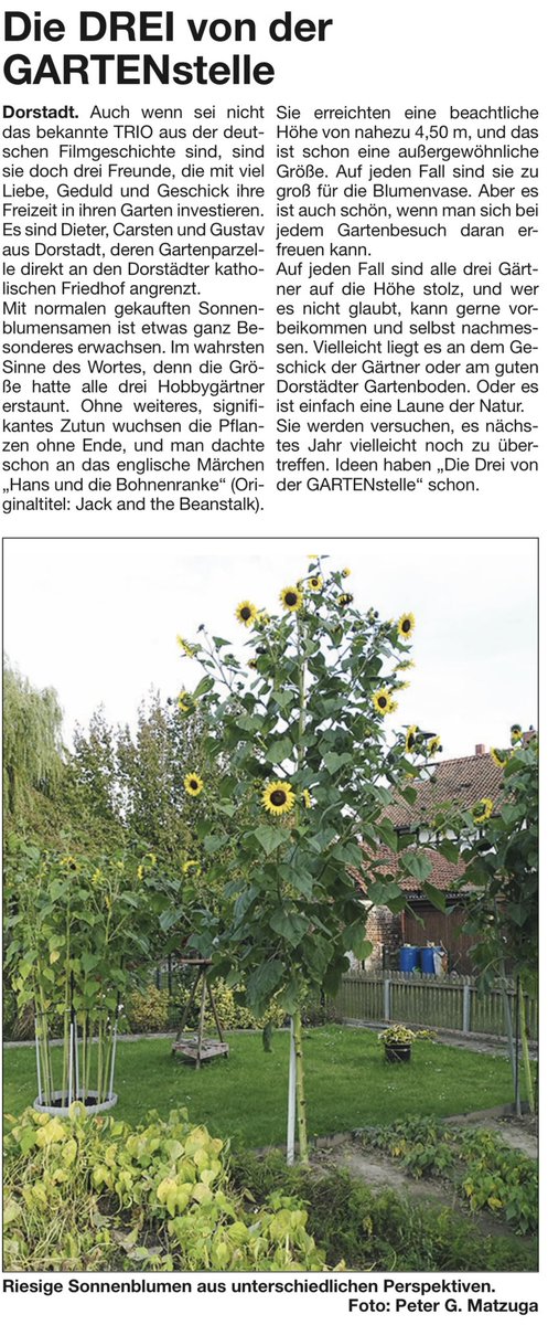Dorstadt_38312's tweet photo. Wolfenbütteler Schaufenster vom 19. September 2021, Ausgabe Oderwald / Schladen, Seite 12
#Dorstadt #Gemeinde #Oderwald #Samtgemeinde #Landkreis #Wolfenbüttel #Garten #Gartenstelle #Gluch #Sonnenblume #Schaufenster #Matzuga https://t.co/GO62cBOTic