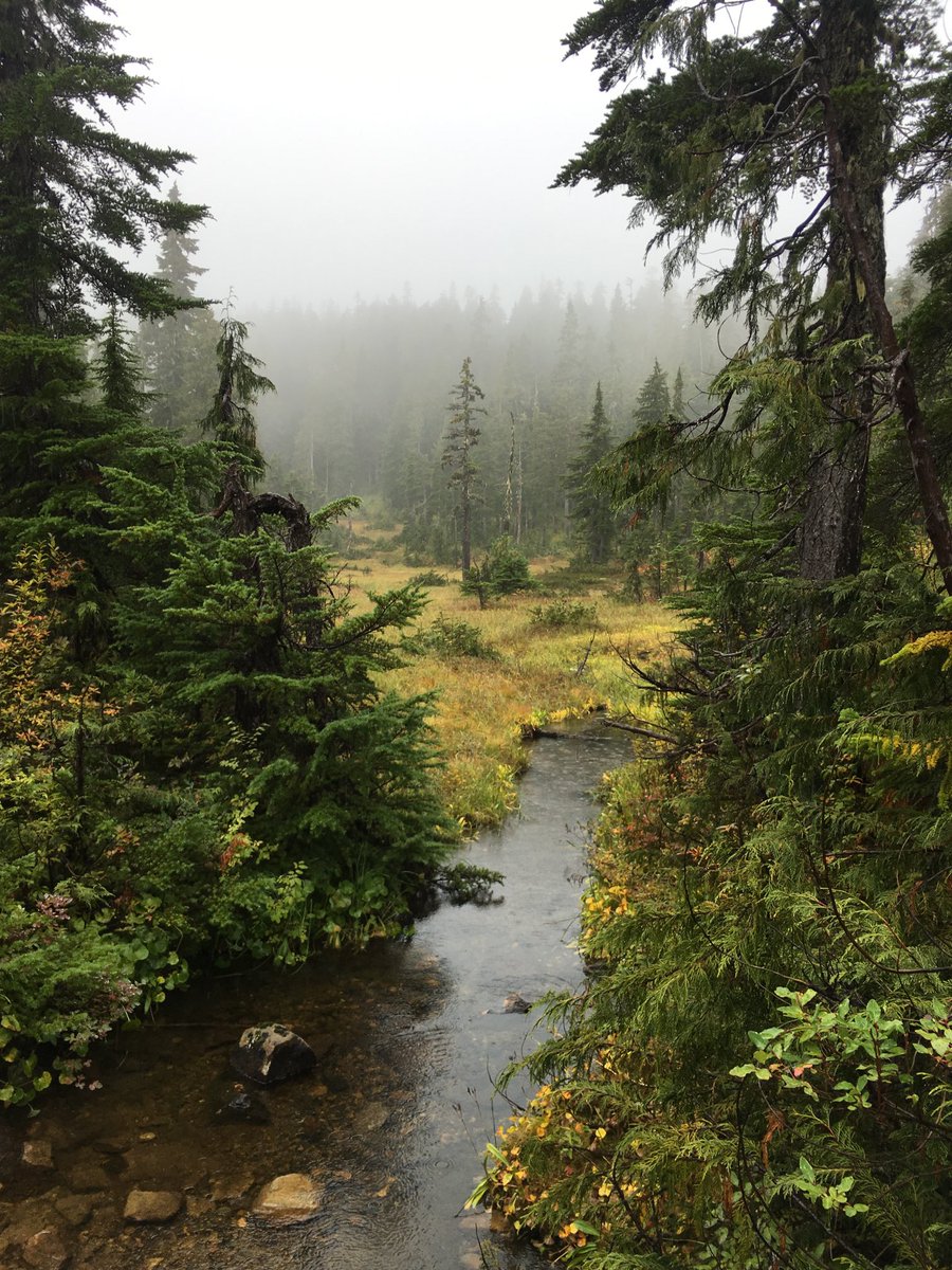 juanitaell45's tweet photo. Missing this view from three years ago Vancouver Island 2018
#lifejourney #bclove https://t.co/buNXaoHxO2