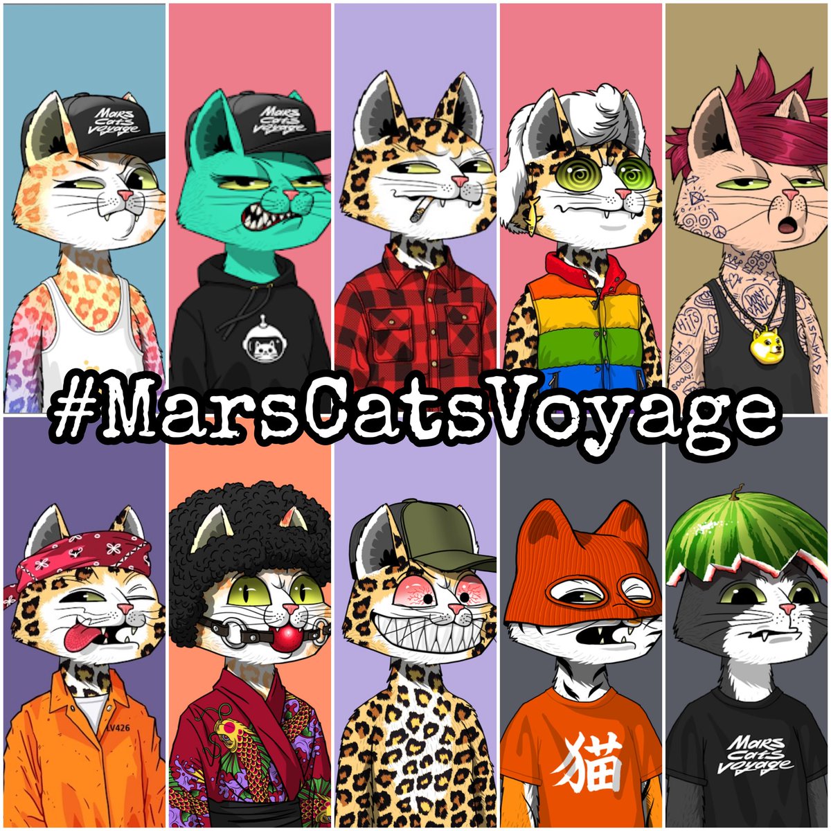 I swear this has got #BAYC vibes all day long! Artwork is super dope &amp; the community is hyped af! Check out @marscatsvoyage &amp; you don't wanna be late on this one! Can't wait for the spacesuits to come out!  🐈‍⬛🚀
#MCV
#MarsCatsVoyage 
#BoredApeYachtClub
#NFTs
#nftcollector