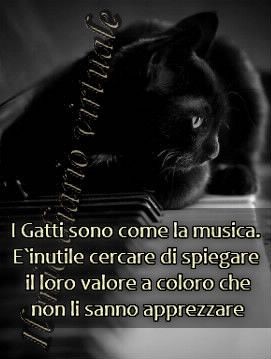 TempestaSimona's tweet photo. ♦️♣️❤️♠️ https://t.co/OOF0spn1Hr