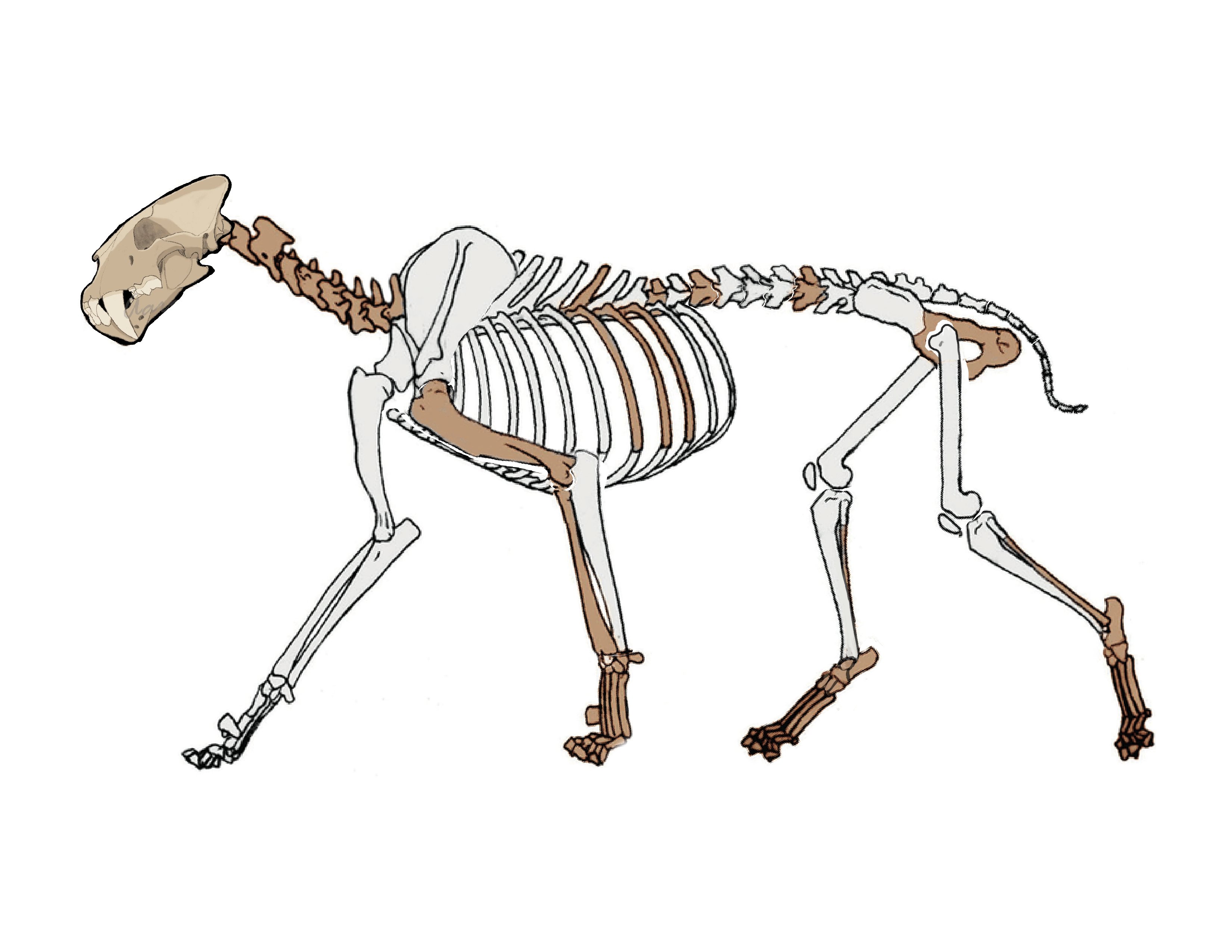 Midiaou Diallo ☭ 🇬🇳(COMMISSIONS OPEN) on Twitter: "To add on, we even