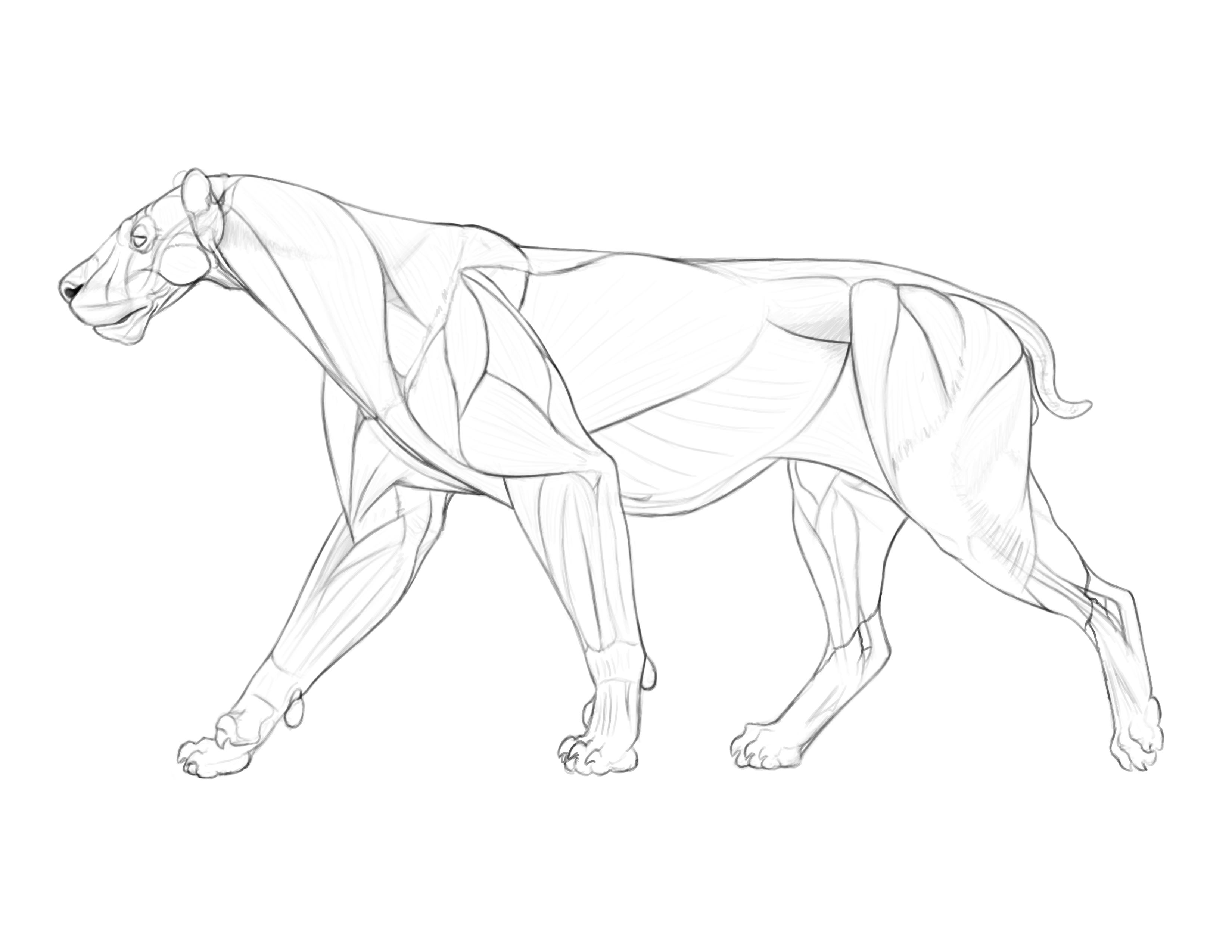 Midiaou Diallo ☭ 🇬🇳(COMMISSIONS OPEN) on Twitter: "To add on, we even