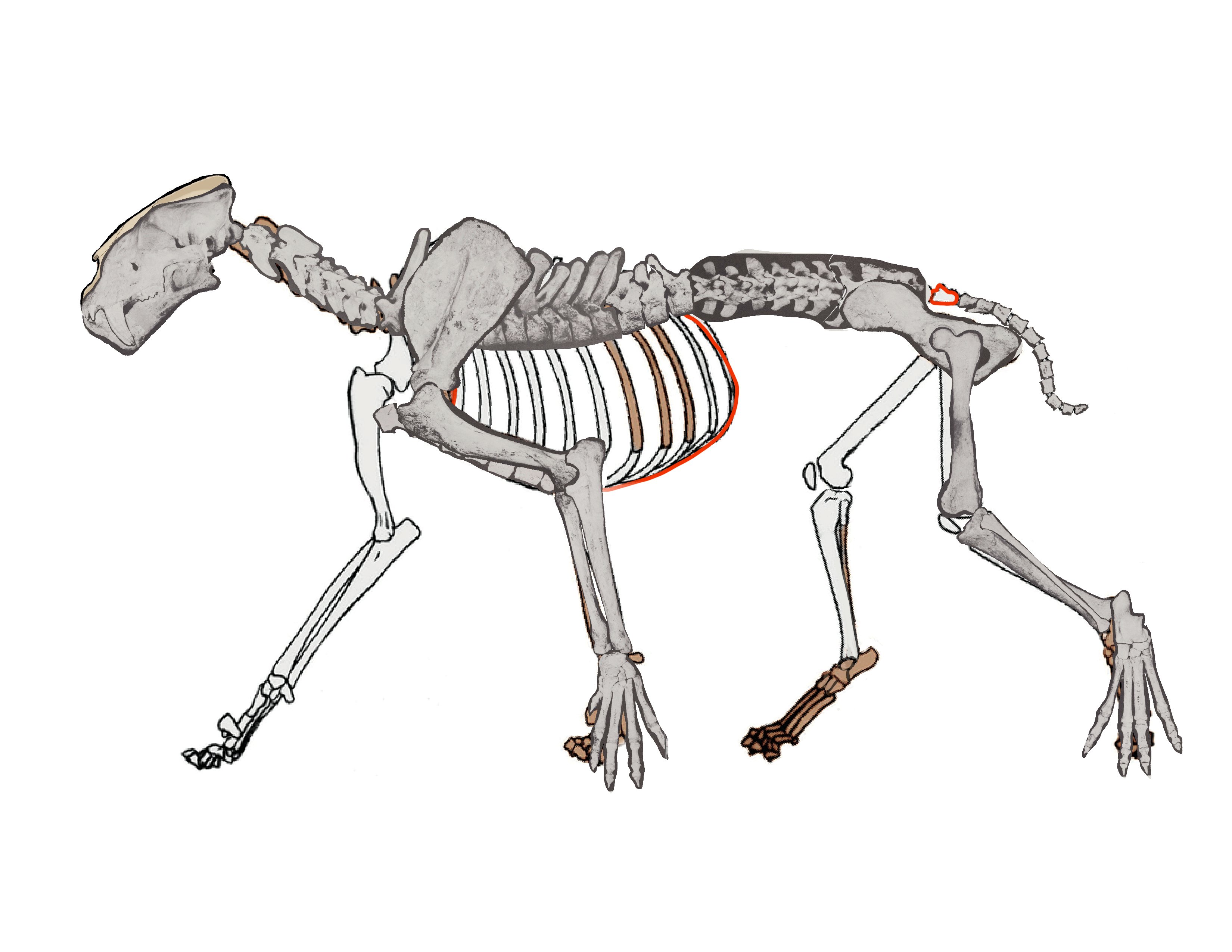 Midiaou Diallo ☭ 🇬🇳(COMMISSIONS OPEN) on Twitter: "To add on, we even