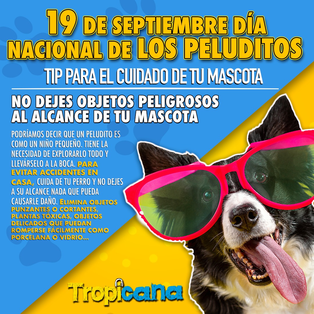 🐾🐾🐾🐾🐕 #PeluditosEnTropicana  👇👇👇 #tips para cuidar de nuestros compañeros de cuatro patitas 🐾🐾🐾🐾😻🐶