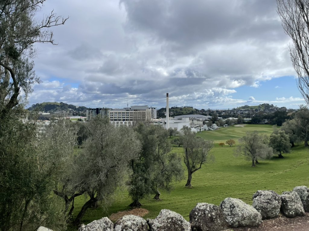 kiwi_kali's tweet image. #LockdownWalk 📸 proof that I’m #StayingLocal #SkyTower @chamfy @richardhills777 @max_tweedie