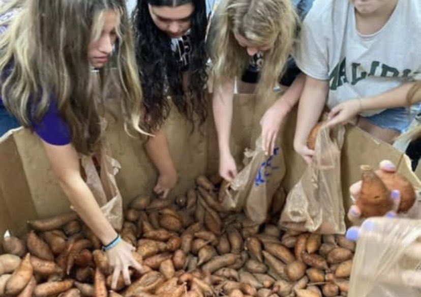 Awesome job this morning at the food pantry betas!!⭐️ Thanks for all your hard work! 🥳 Also thanks for all of our help from key club!!⚡️⚡️