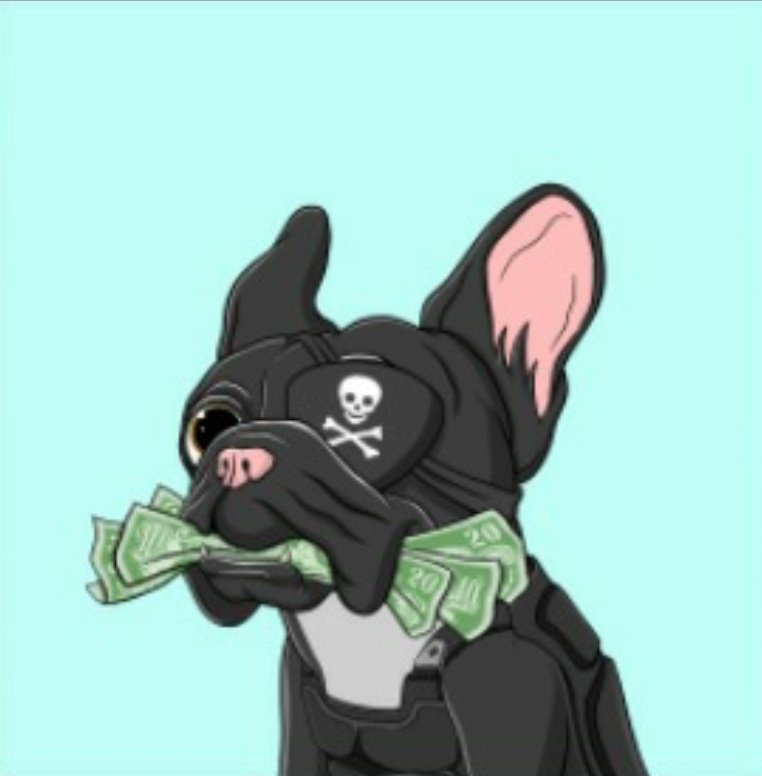DavidJoynes's tweet photo. @matvijevas @ZssBecker @fancyfrenchnft @SolanartNFT Inside top 4.5% Frenchie! You know black fur is the best. https://t.co/NuUQNAAZEe