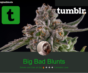 👁 iSee Kush🔥💨 tweet media