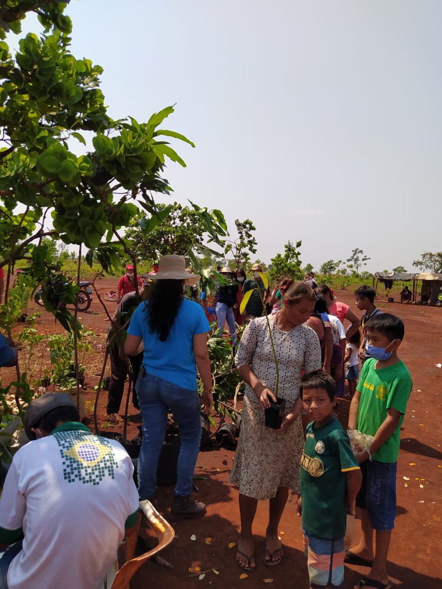 Ação/mutirão de entrega de mudas e semente nas área de retomada guarani e Kaiowá de Dourados (onde foi queimado a casa). Resultado de doação solidário das instituições e apoiadores indígenas. Obrigado!!!
