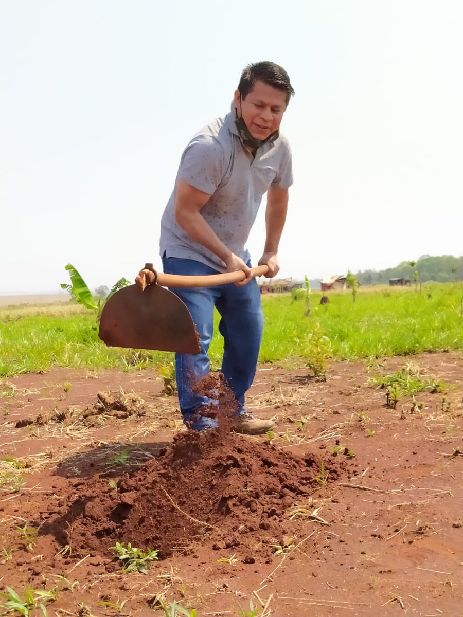 AscuriOrg's tweet photo. Ação/mutirão de entrega de mudas e semente nas área de retomada guarani e Kaiowá de Dourados (onde foi queimado a casa). Resultado de doação solidário das instituições e apoiadores indígenas. Obrigado!!! https://t.co/N55pRmxtGx