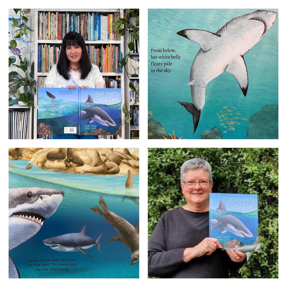 Happy #sundayshelfie day! I am excited to welcome <a href="/cindylaneart/">Cindy Lane Art</a> and <a href="/SaxbyClaire/">Claire Saxby</a> to celebrate their beautiful picture book ‘Great White Shark’
🦈