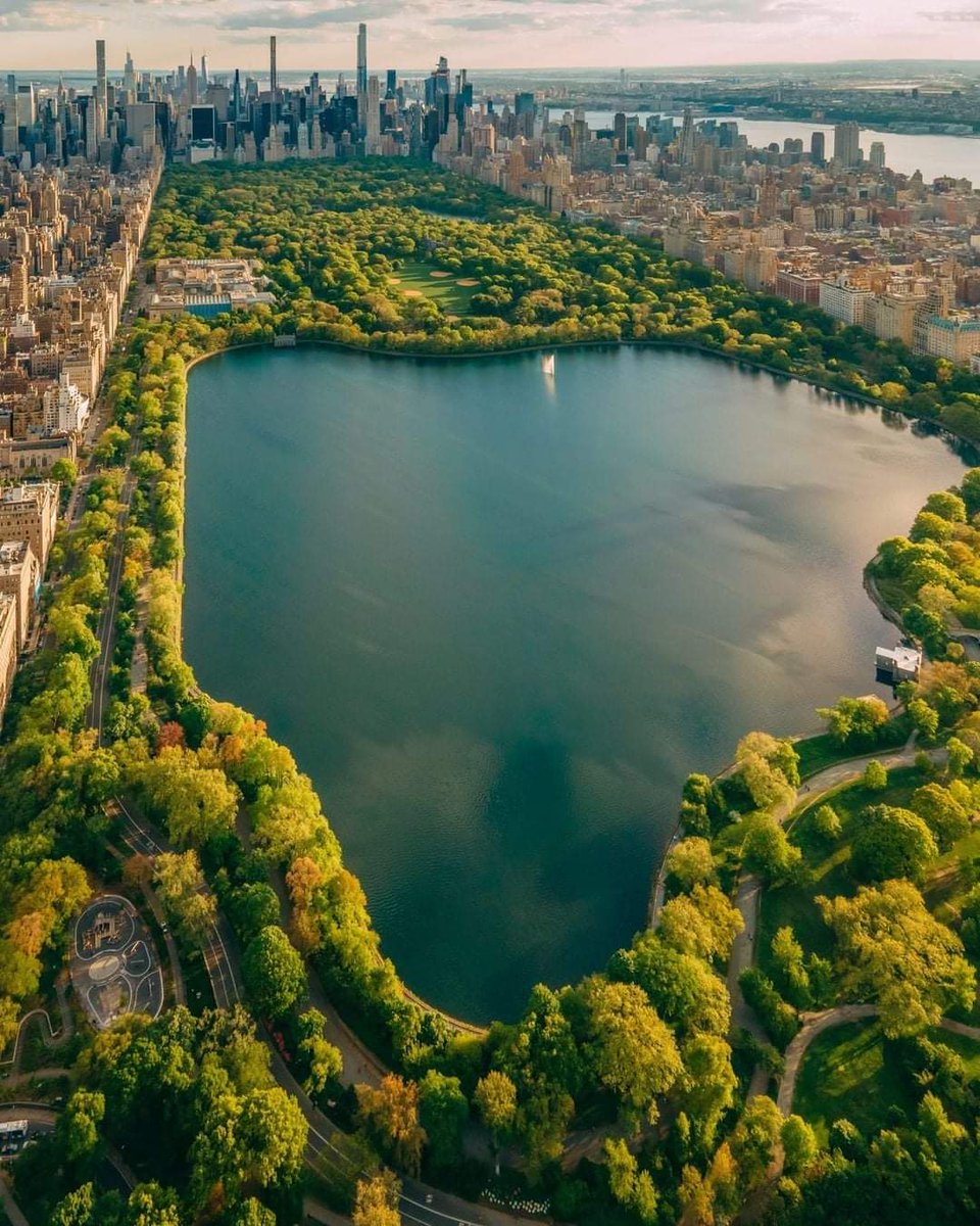 DailyEngCo's tweet image. Central Park, New York, USA
Photo by: @selvon.nef [IG]