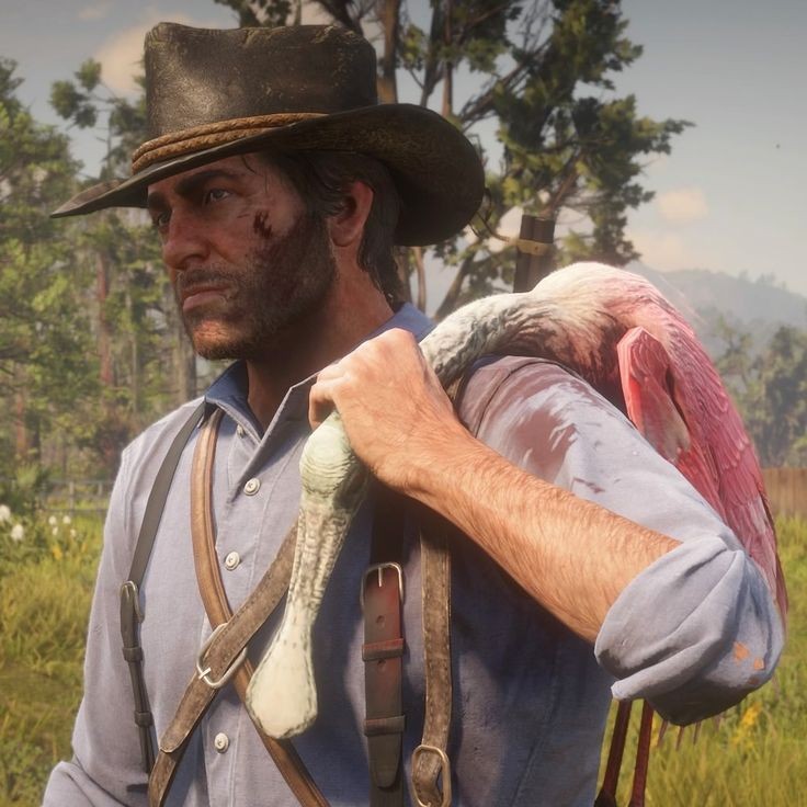 daily arthur morgan.