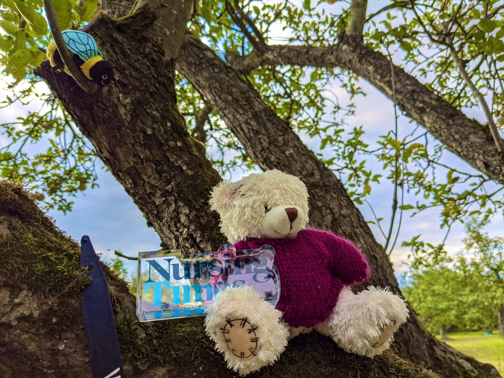 jamielynne717's tweet photo. Beautiful day out today and took the  #NursingTimes shortlist trophy with me to #Attingham #NationalTrust. Went to the orchard to find us some teddies!!!🐻🐻🐻 how adorable are they?!? @NursingTimes #NTAwards https://t.co/xV6jvGCXe8