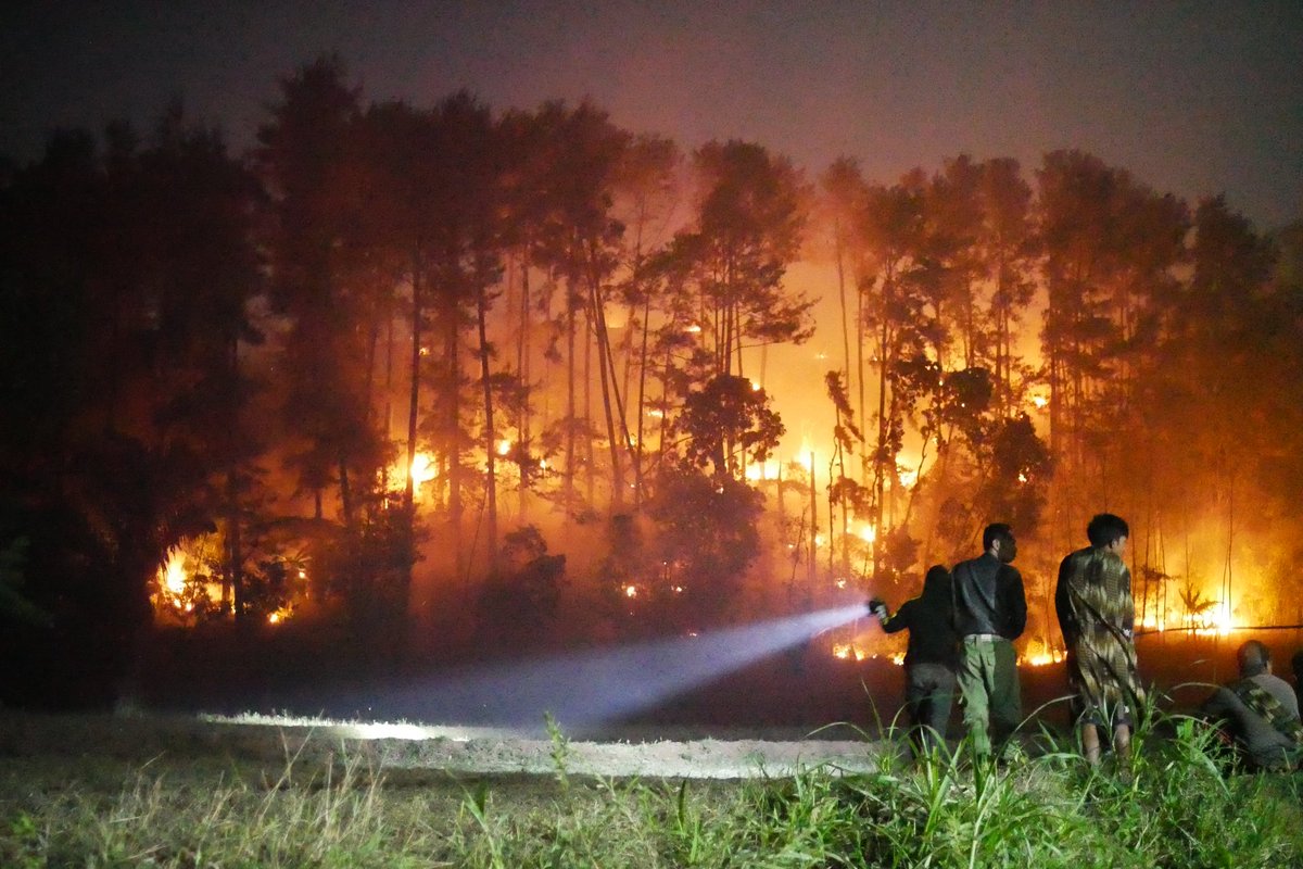 Telah terjadi kebakaran hutan di desa simpur, 
Pada sabtu tgl 18 sore sampe dengan tweet ini di post. 
Karna kendaraan DAMKAR tdk apat melalui jalan yang menanjak, setelah sampai lokasi , Kades simpur menginstruksikan Damkar untuk kembali ke markasnya.