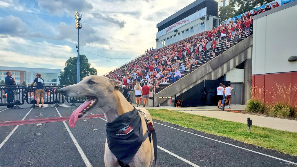 uindyhound's tweet photo. Key is the place to be. Let's go Hounds!

#alphadogs #gradypack https://t.co/w9kdUZC0s4