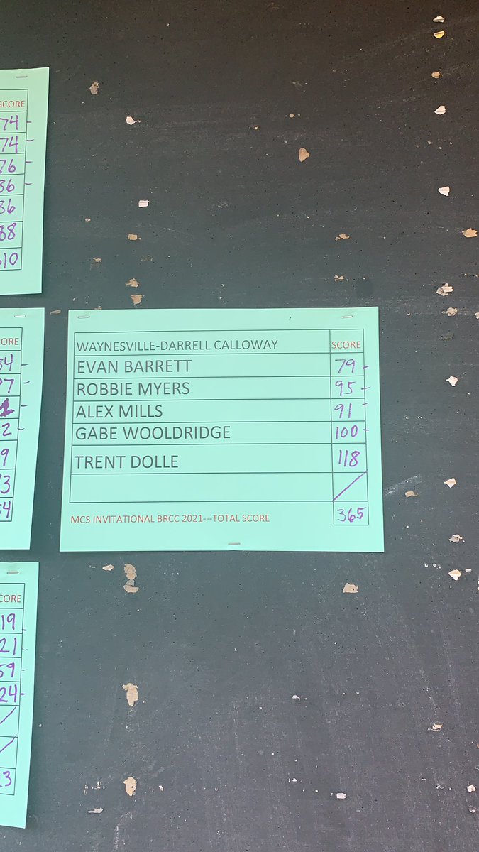 WAYNESVILLE BOYS GOLF tweet media