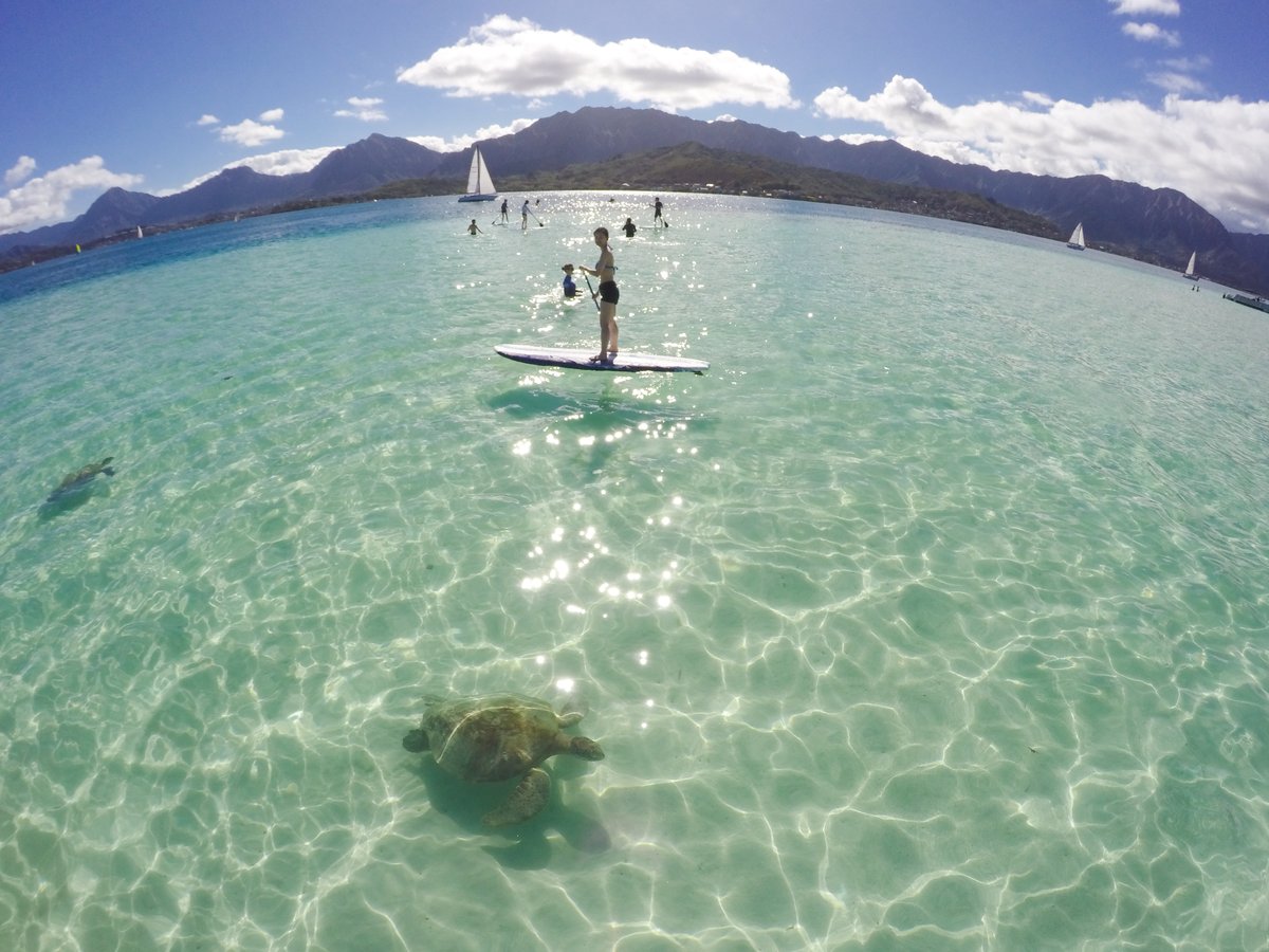 HawaiiSailing's tweet photo. Sail with us on Kaneohe Bay and the sand bar. Reserve now. https://t.co/YhcksfoqXh https://t.co/BXsb2PvX1o