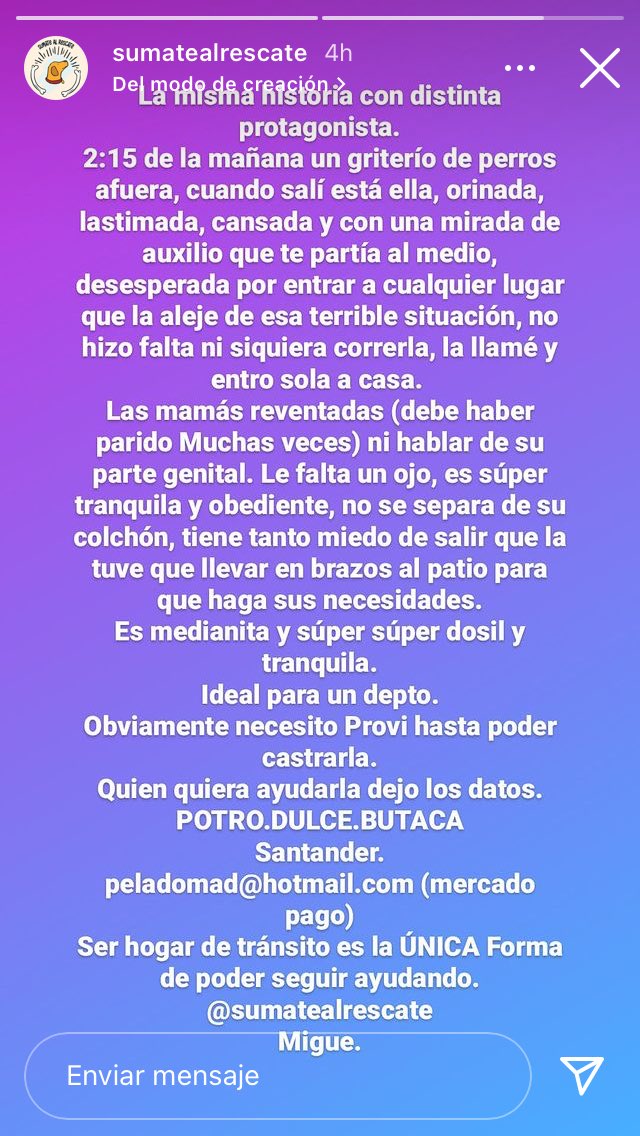 LuDopozo's tweet photo. @VivirEnNuevaCba @VivireNuevaCba si alguien cuenta con provi, ayuda económica, o lo que sea están los datos en la publicación del refugio y Migue que tiene varios peluditos a cargo , por fa difundir! 🙏🏻 https://t.co/7kXUBDU81i