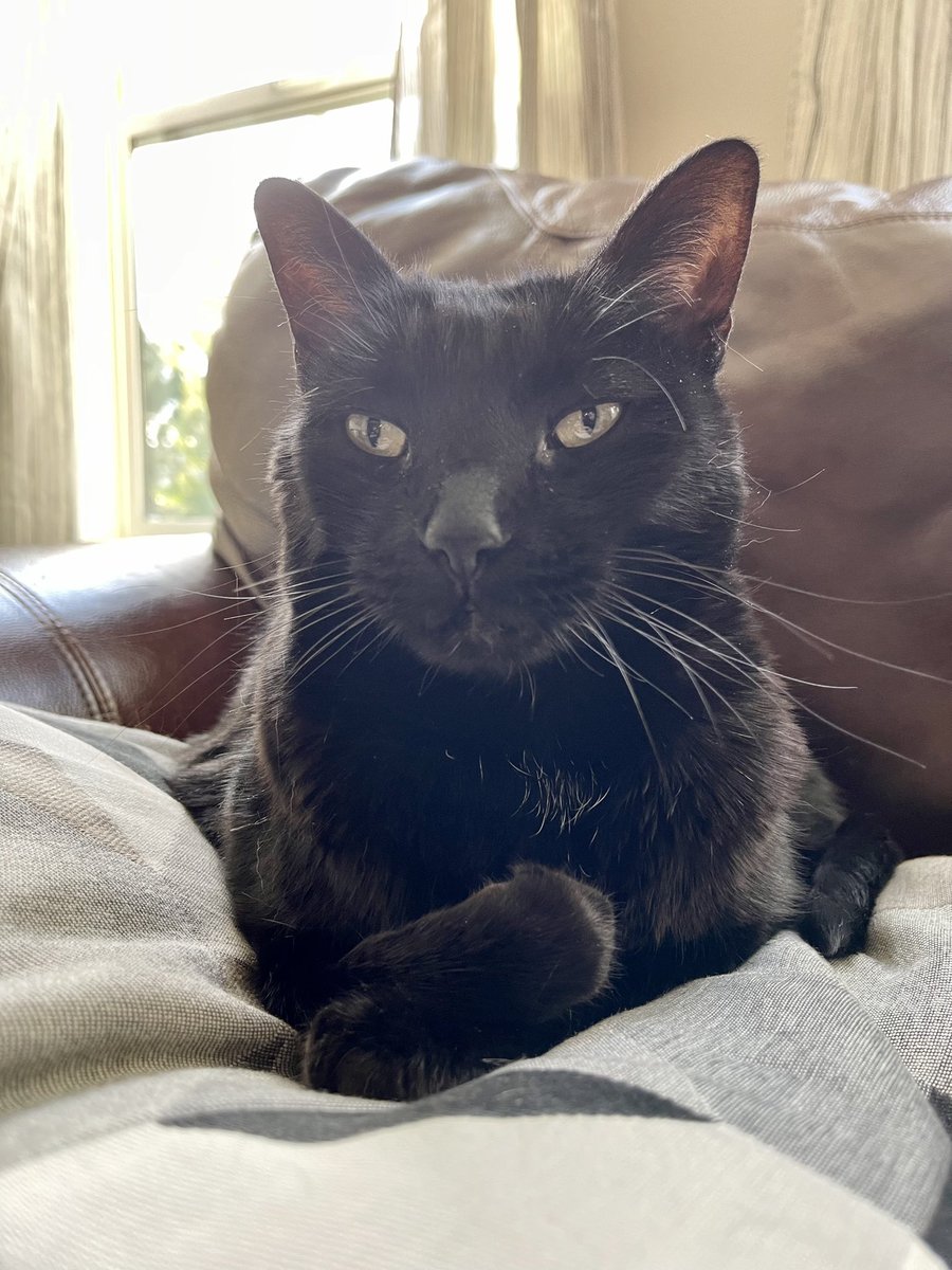 🇺🇦Midnight Daily💙💛 tweet media