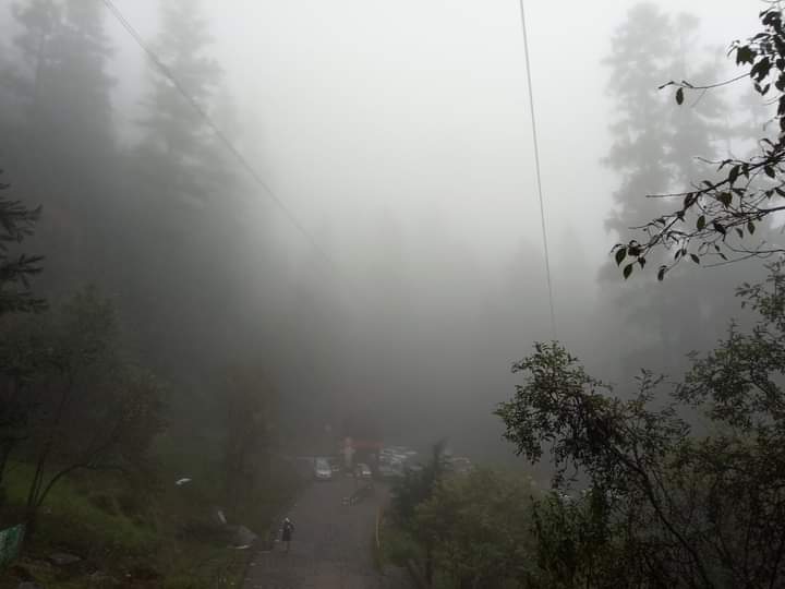 PotreroAtlitic's tweet photo. Cuál frío? me preocupa que ya se robaron a la #coconetla
#frio, #otoño, #lluvia, #montaña, #abrigo, #niebla https://t.co/0YqGAUfRu0