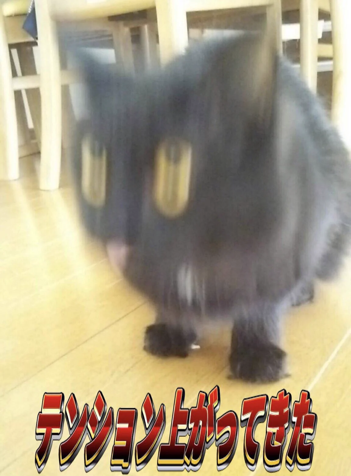 @komaturi1 きたー！！！！！ 