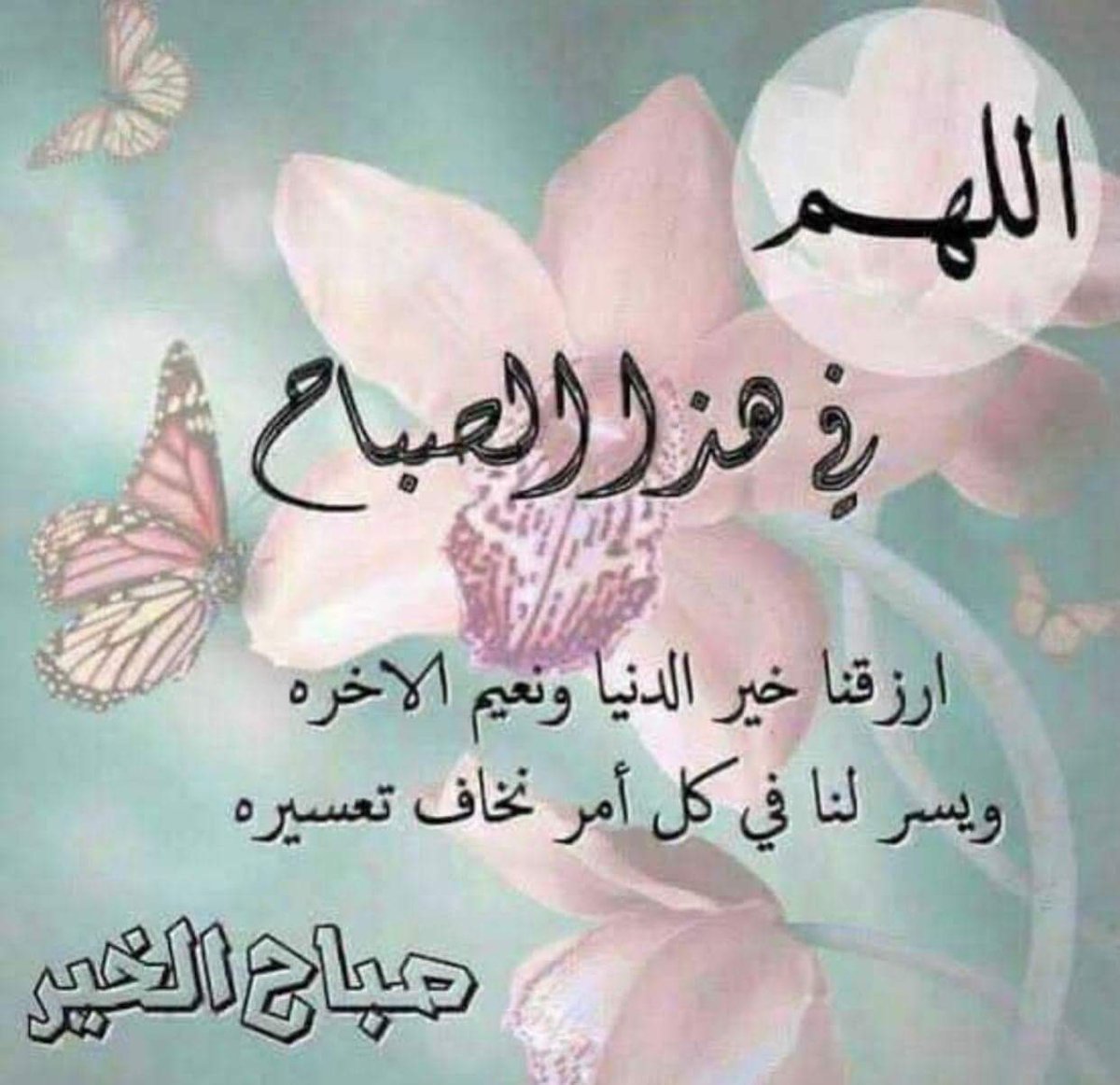 المري (@rr55rr) on Twitter photo 