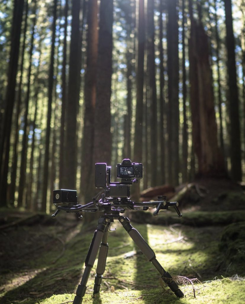 Cinetics tweet media