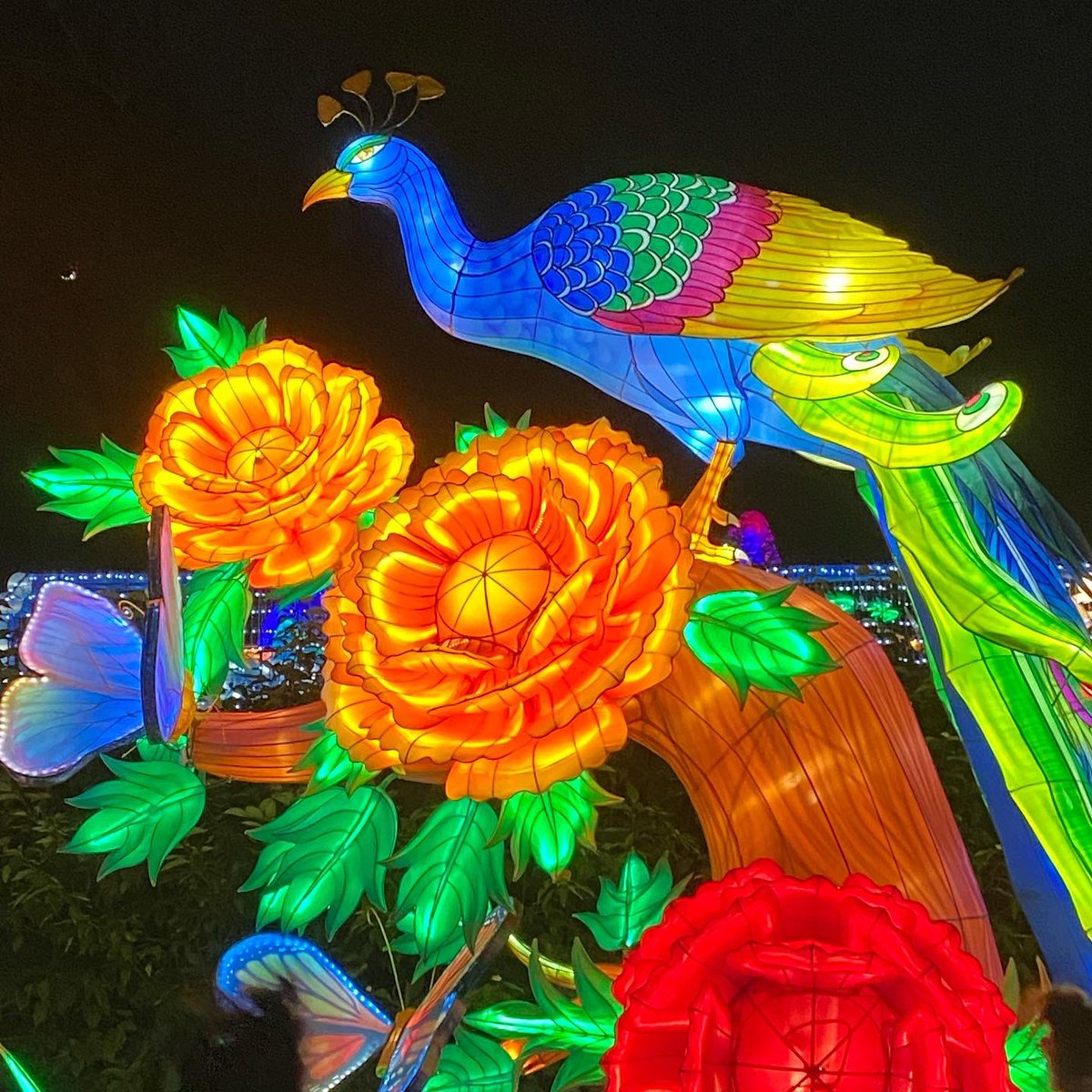 enviroerin's tweet photo. Thank you @nationalgridus #bostonlights was spectacular!! https://t.co/2NLCebhz2w