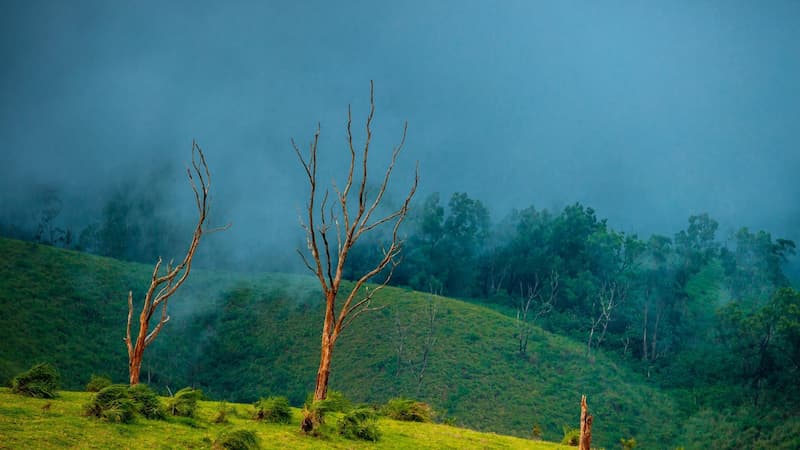 backpacktime's tweet image. It is a hill station located in "God's own Country" and boasts of lush green tea plantations and greenery. Its serene and mystical quality attracts tourists from all over the country. #vagamon #kerala #godsowncountry
timesmach.com/vagamon-touris…