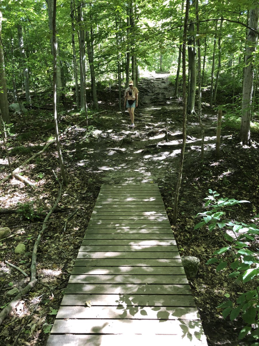 cam_shelleyA1's tweet image. Seens at Starkey Hill #arkell #guelph