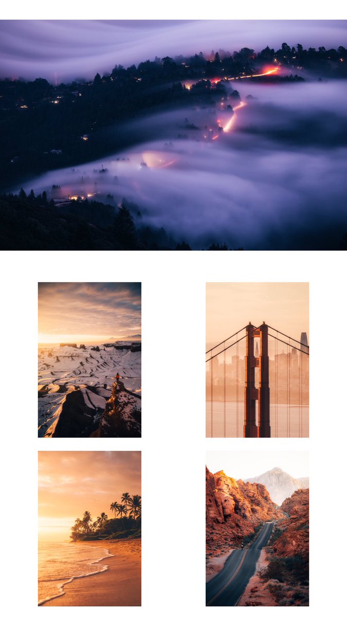 Nicole Zelkowitz tweet media