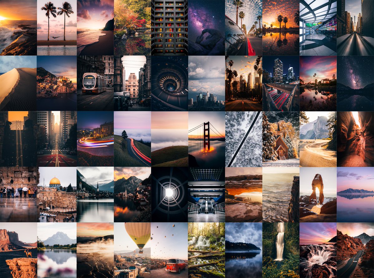 Nicole Zelkowitz tweet media