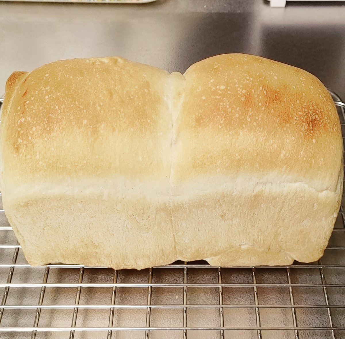 Chibapan31's tweet photo. 久しぶりのあんこ食パン。
あんこの処理というより全体の焼き色を変えようとオーブンの温度調整のほうが今回のポイントだったり���る。結果はまぁまぁ。次回は更なる改良予定。

#手作りパン 
#パン作り 
#おうちパン https://t.co/P7aPl0k1Sc