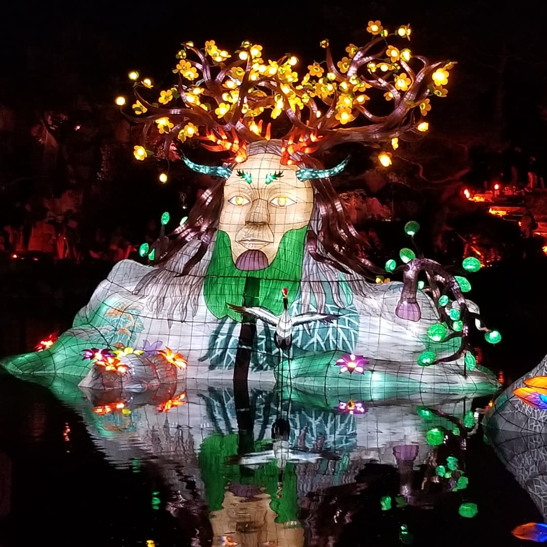 Katie_Fleming's tweet photo. 🎋🎏 Gardens of Light at the botanical gardens 👏🐯🎍
#montreal #gardensoflight #botanicalgardens #chineselanterns https://t.co/jWh37v2RRe