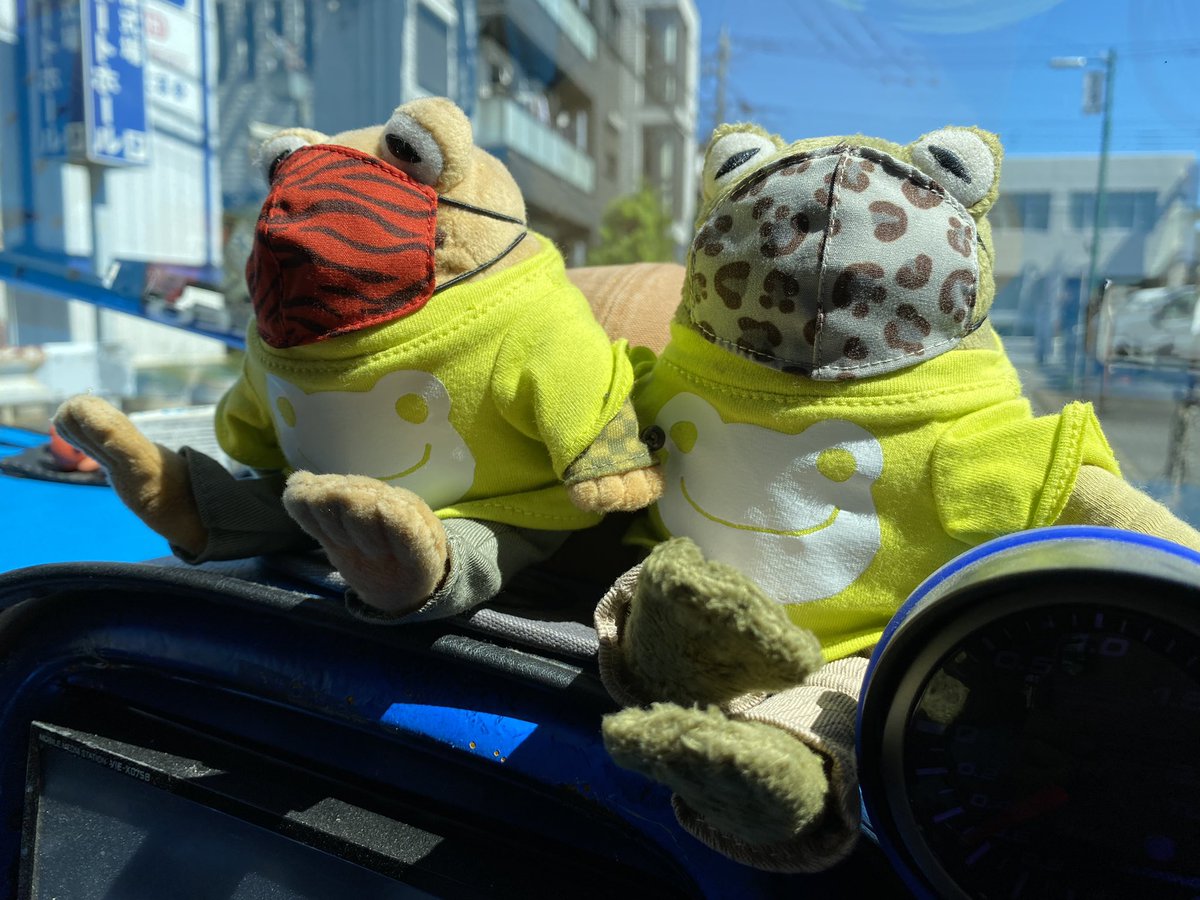 おたさん ふたりはともだちのカエルくんたち車に乗ってるんだけど ガチャのマスクつけてカエルのピクルスのシャツ着せたらライブt着たバンギャみたいになった