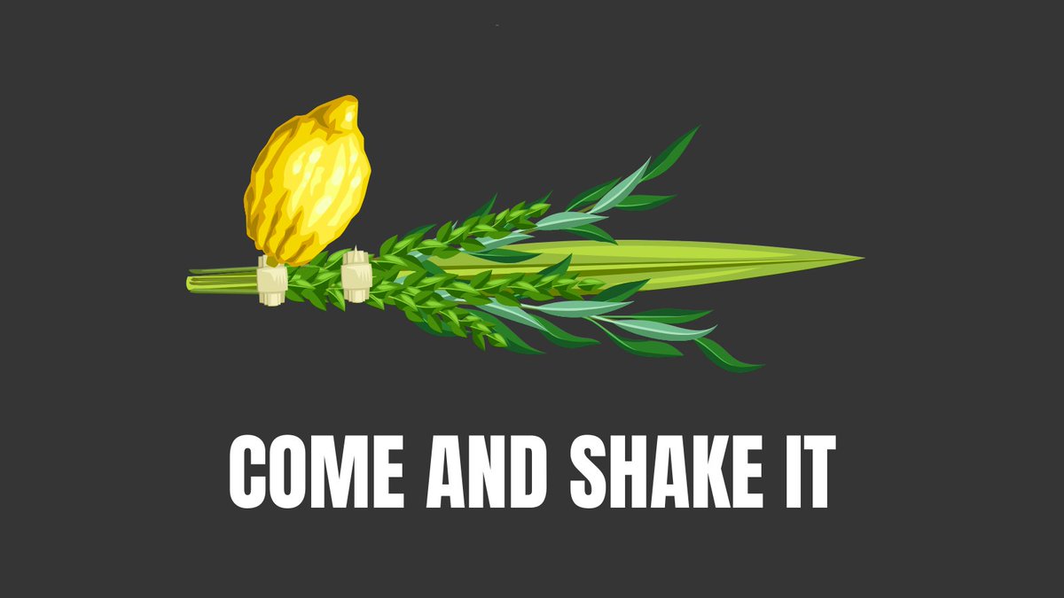 It's a Texas thing. #sukkot