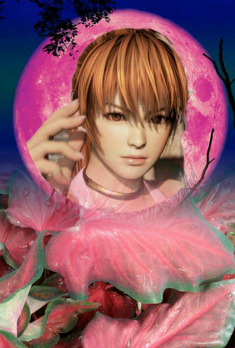 GraciaHosokawa1's tweet photo. Try to do some edit of Kasumi
#DeadOrAlive #DOA6 #doakasumi #Edit #pictureedit #editpicture #deadoralivekasumi https://t.co/HR9n1QRtL4