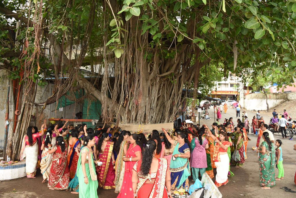 Vशुद्धि on X: "Banyan tree- is generally said to be the humble abode of  Bhagwan Krishna. Banyan trees are always found either near a temple or  their is a shrine below the