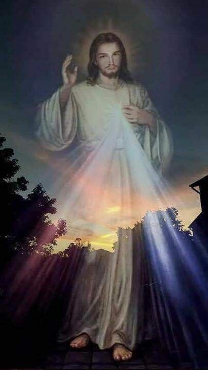 ¿Quién nos podrá separar del amor de Cristo?

¡Nada podrá separarnos jamás del amor de Dios manifestado en Cristo Jesús, nuestro Señor!

(Cf. Rom 8, 35.39)

Salud, paz y bien para todos🌿🌎