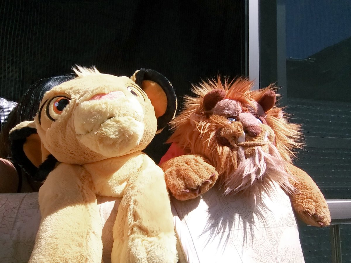 きじとら きじとら🐾 (@FS5pgyIfdBB14eN) / Posts / X