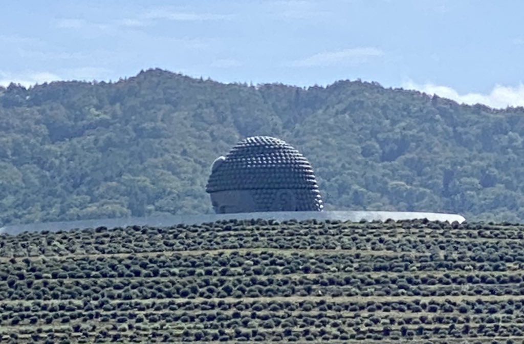 小野 直紀 Naoki Ono 北海道の安藤忠雄建築といえば頭大仏 山に宗 物事の根本 で 崇める だから 宗教的なものが山と一体となってるのは自然なのかもしれないけど なぜか笑みが溢れる風景でした 小野 直紀 Naoki Ono 北海道の安藤忠雄建築といえば頭大仏 山に宗 物事の根本 で 崇める だから 宗教的なものが山と一体となってるのは自然なのかもしれないけど なぜか笑みが溢れる風景でした