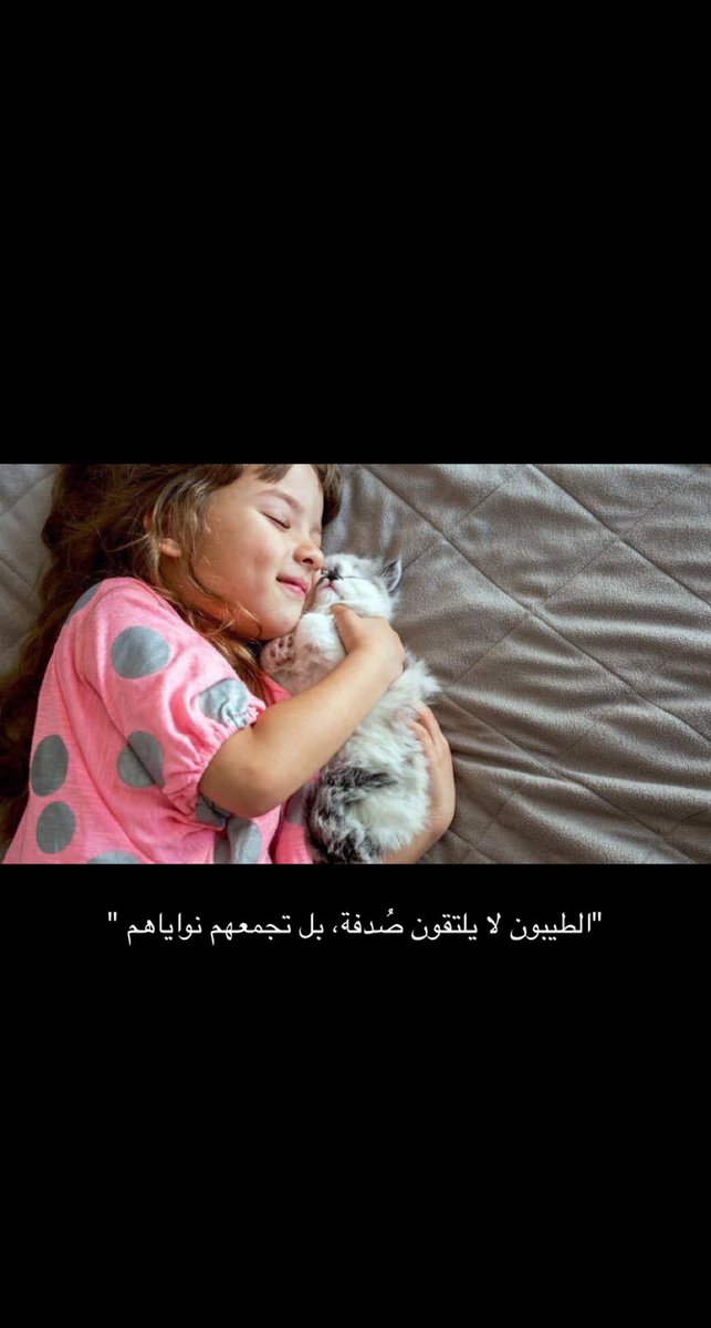 nooonil33 (@nooonil12313) on Twitter photo 