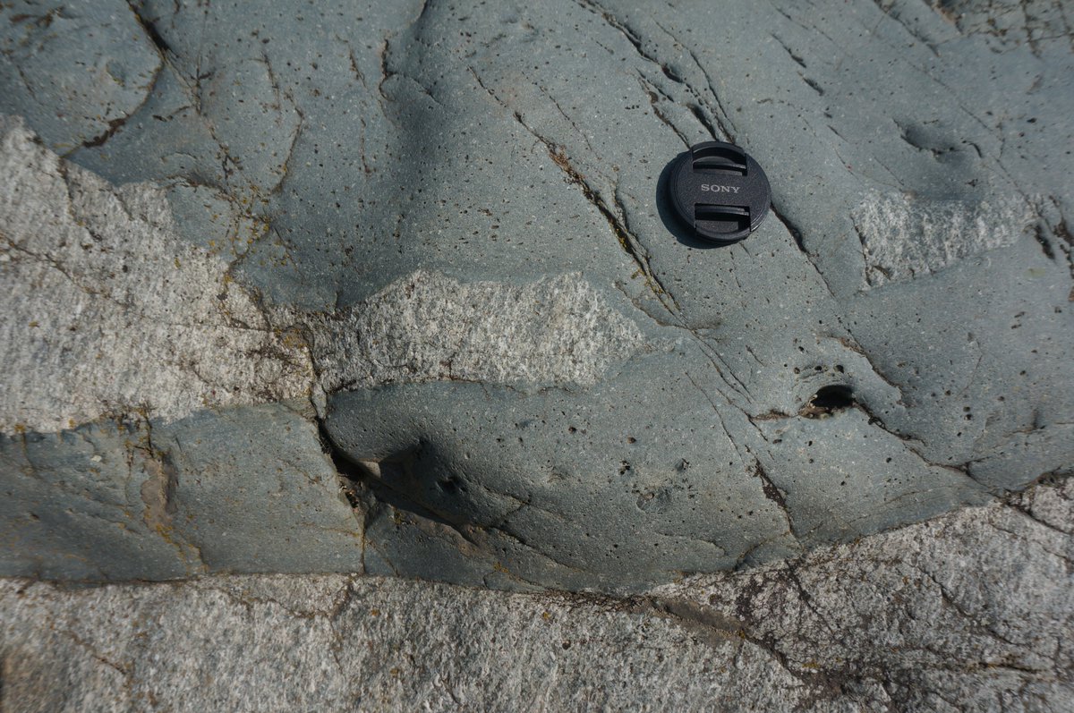 Day 61: Foliated eclogite facies metagranodiorite (white-grey) cut by undeformed andesite dykes with plagioclase phenocrysts and chilled margins, from Valle d'Aosta, Sesia Zone, Italy. #100daysofgeoscience