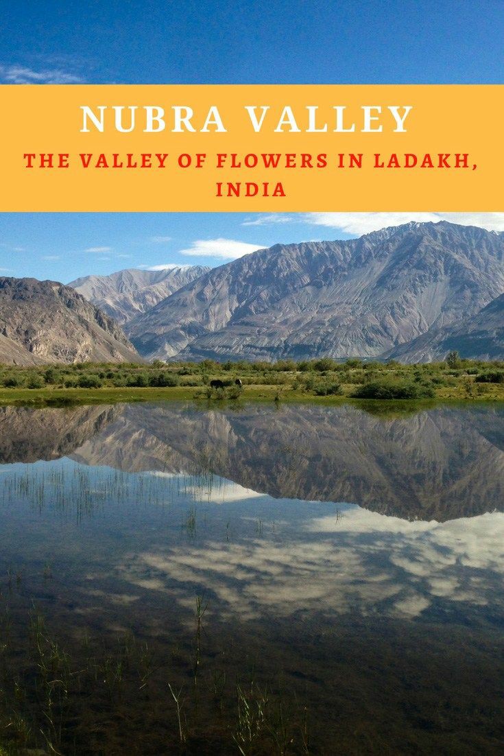 LehAirport's tweet image. #NubraValley is a few hours to the North of #Leh; this is where the #Shyok and #Siachan rivers meet. The valley separates Ladakh from the Karakoram Ranges and the mighty Siachen Glacier. The valley is accessible through the world&apos;s highest motorable road : the #KhardungLa.