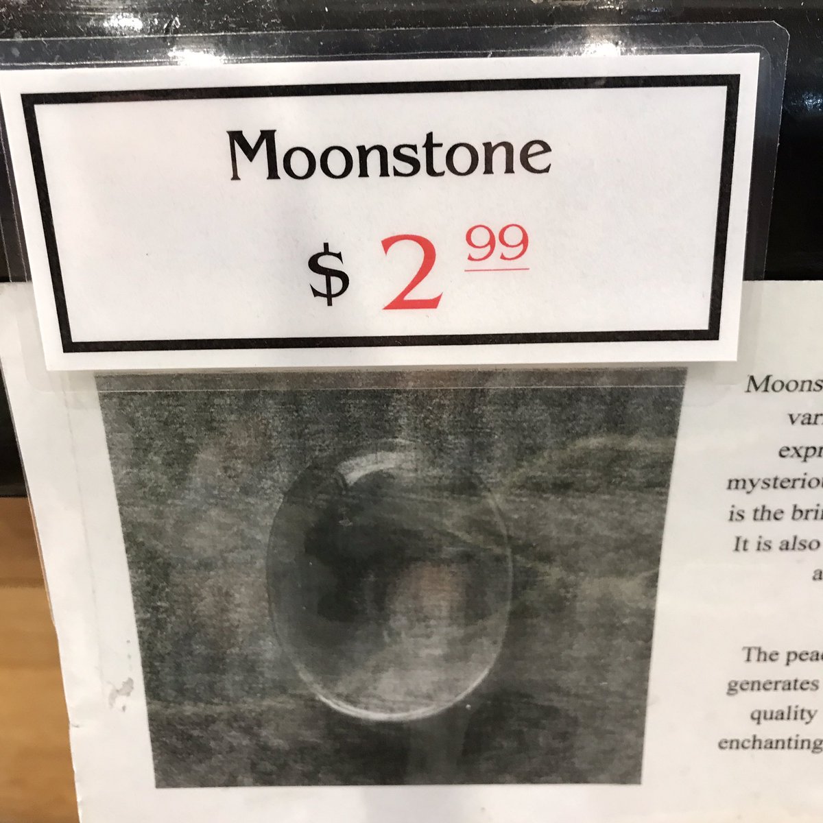 Wow these are cheaper than I thought 🌝